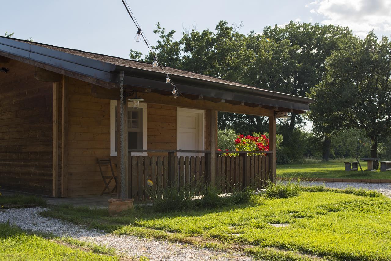 Evolution Camp Ξενοδοχείο SantʼIppolito Εξωτερικό φωτογραφία